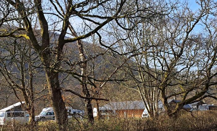 view from cycle path of site